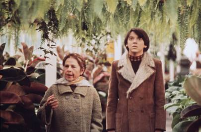 Harold & Maude (1971)