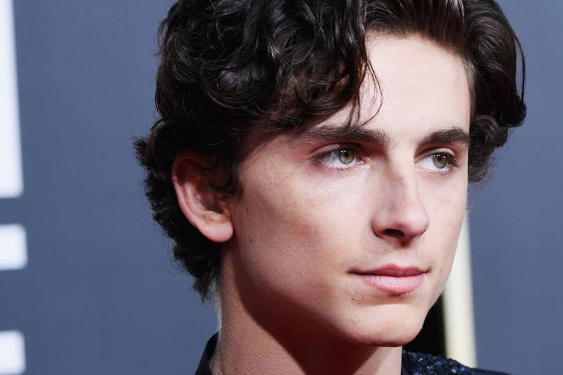 Timothée Chalamet Was Not Wearing A Harness At The Golden Globes ...