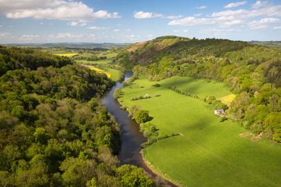 Forest Of Dean