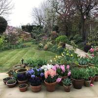 Best Garden Instagram Accounts | British Vogue