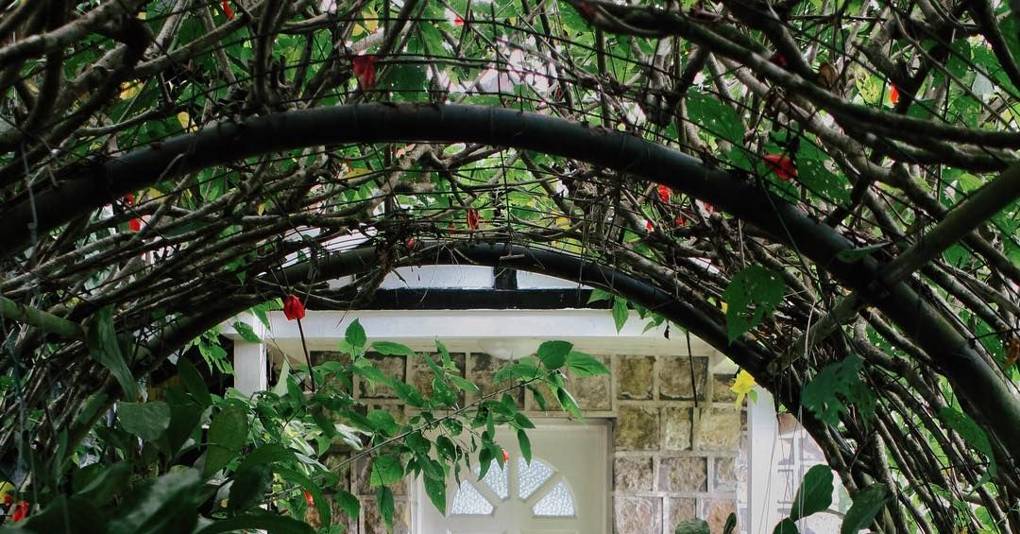 Best Garden Instagram Accounts British Vogue